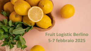 Fruit Logistic 2025